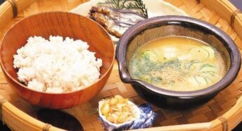 日南市を訪れたらぜひ　おすすめグルメスポット