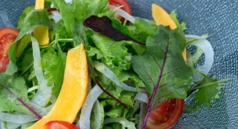 新鮮野菜は元気のモト！宮崎野菜を使ったご当地レシピ