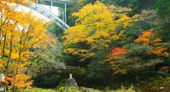 これからが見頃！宮崎のおすすめ紅葉スポット3つ
