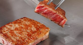 宮崎牛をトコトン知り尽くす！その歴史や特徴、味について