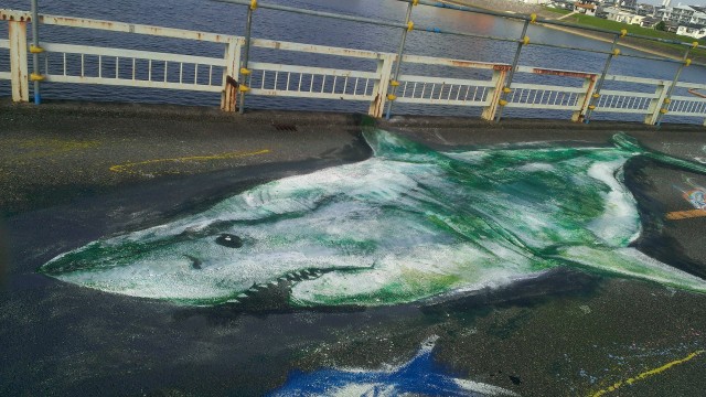 小戸之橋魚群ART展示会8－サメ