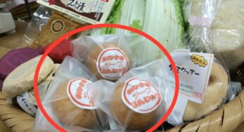 高千穂町のお土産なら「おひさまチーズまんじゅう」を選びたい！-高千穂/お土産