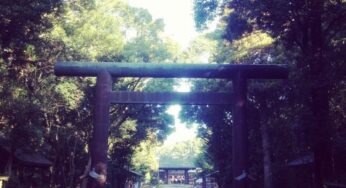 宮崎写真：新春の宮崎神宮