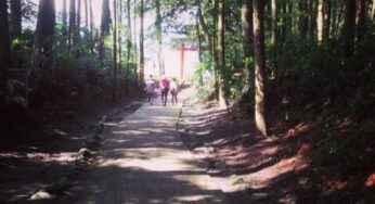 宮崎写真＊狭野神社の参道