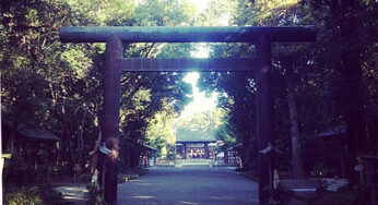 合格祈願するならこの場所で！宮崎のパワースポット神社３選