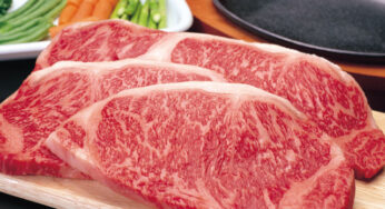 宮崎牛を堪能！野球選手御用達の焼肉店で焼肉三昧！