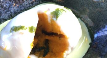 ６０兆の細胞が喜ぶビュッフェが食べれる農園レストラン「はいびすかす」で細胞を喜ばせた【宮崎木花】