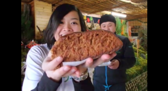 【数量限定】綾町に来たら必ず食べたいおばあちゃんのお菓子（おのや）