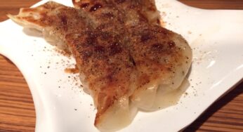 贅沢！宮崎牛サーロインをたっぷり使った餃子！[AUBE.つむぎ]