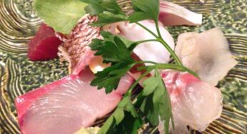 宮崎が誇る名店！[しん介]の料理が凄い！