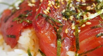 【3月31日まで】南郷かつおめしフェアで、ワンコインで絶品かつおめしが食べられる！