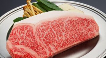 口蹄疫を忘れない日シンポジウム:宮崎牛を食べて宮崎をさらに元気に!