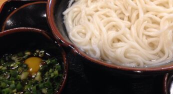 正しい釜揚げうどんの食べ方、おしえちゃる！-宮崎市/五味八珍