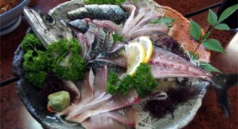 刺身で食べて欲しい、とろける脂のうま味「ひむか本サバ」