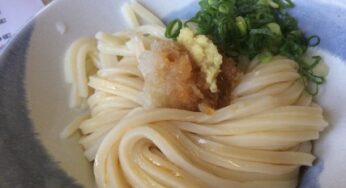 宮崎では珍しいコシのある讃岐うどんが美味しいのは都農町１０号線沿いの「一の茶屋」-うどん/都農