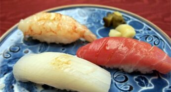 宮崎を食で人の呼べる場所にしたい！ー『らんぷ鮨 光洋』with 宮田理恵