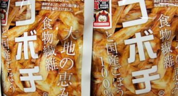 宮崎の新しいお土産！大ヒット商品「ゴボチ」の美味しさに迫ってきた！