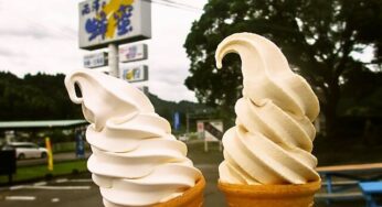 【寄稿】濃厚な美味しさ！蜂兵衛館のはちみつソフトクリーム