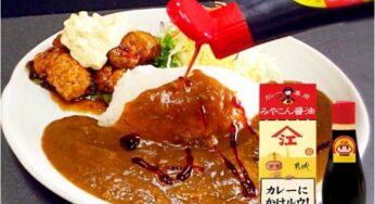 宮崎県のカレー専用醤油「みやこん醤油」が第1位! こんなのあるんだ大賞2015
