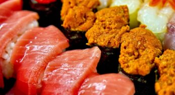 みんなはどこ派!? 宮崎県の回転寿司勢力を調べてみた