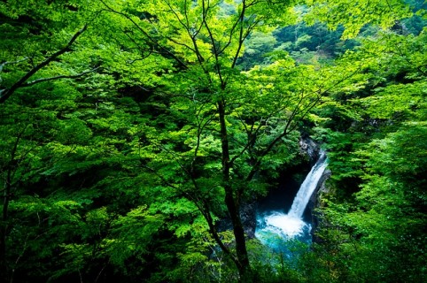 日本の滝 pixabay