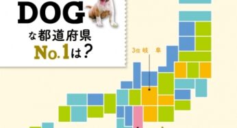 【全国で犬好きな人が多い県ランキング】第1位は三重県! 宮崎県は第何位!?