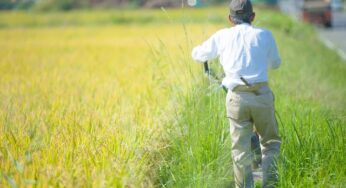 皇太子さまもご出席! 宮崎県で開催の「全国農業担い手サミット」って!?