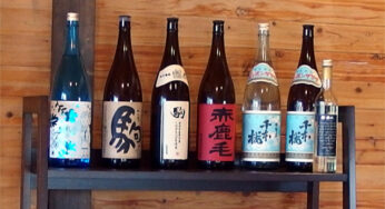 麦焼酎専業からのチャレンジ。過去から未来へ!－柳田酒造合名会社