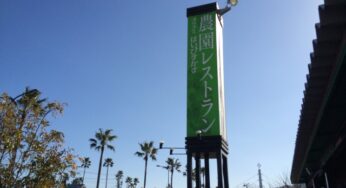 【閉店】お野菜がたっぷり食べられる農家レストラン「はいびすかす」-宮崎市