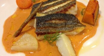 アットホームなスペイン料理やさんで、ゆったりランチ-Bar viviendo/宮崎市