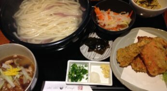宮崎一！心も体も元気になる究極のうどんがここに。-ふなや/清武町