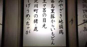 東京で宮崎料理が恋しくなったら。宮崎人が経営する宮崎郷土料理店-やっちょっど/東京