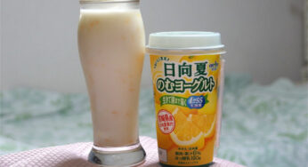 まだまだ続くよ日向夏祭り! ー オハヨー乳業「日向夏のむヨーグルト」