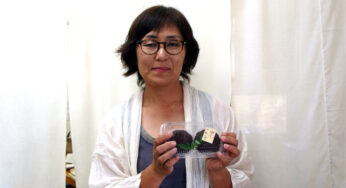 苦あれば楽あり － 食べると元気になれる、「楽あん」のおはぎ