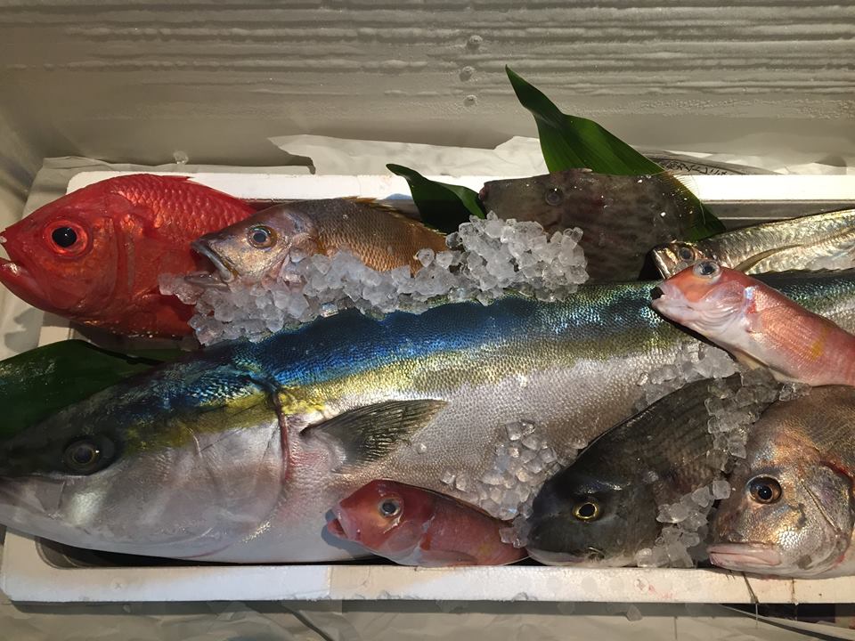 ②魚