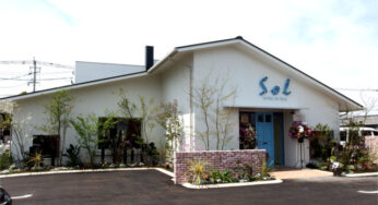 【開店】宮崎市大島通線沿いに女子の癒やし空間誕生 ー 美容室「Sol」