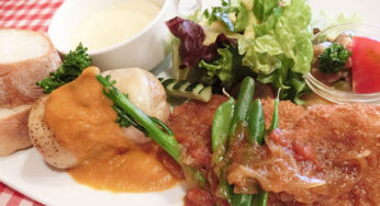 自分へのご褒美にぴったり！アットホームな雰囲気の「Bistroオオロラ」/宮崎市