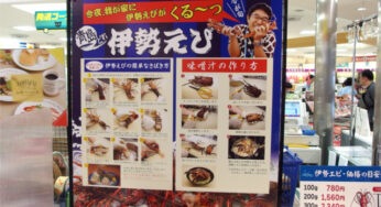 驚愕! 宮崎ブーゲンビリア空港にイセエビがいた!!