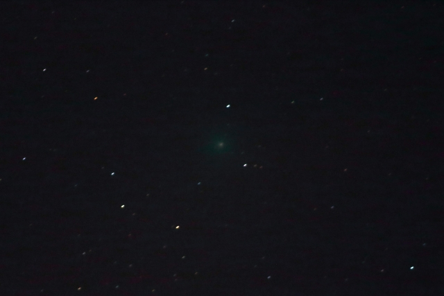 12/12のウィルタネン彗星