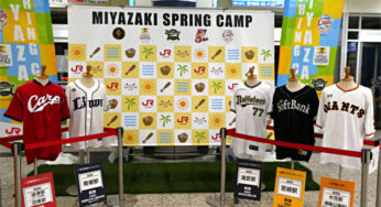 2019年シーズン宮崎県内プロ野球キャンプまとめ