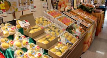 お土産フルーツは空港で買うべき3つの理由 － 宮崎空港の裏側に潜入!!