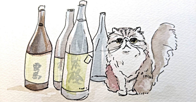 猫と焼酎ボトル