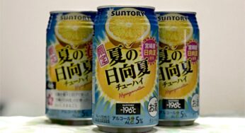 すっかり夏の定番商品に!! － サントリーチューハイ「－196℃〈夏の日向夏〉」