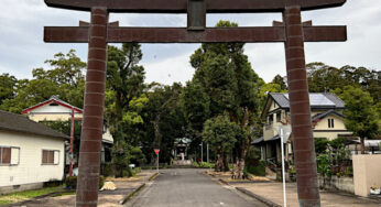 お酒好きな人は一度はお詣りして欲しい－都萬神社/西都市