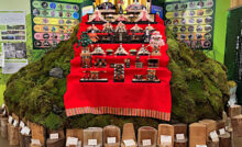 エコパークセンターの雛山