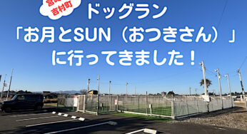 【開店】ドッグラン「お月とSUN」実体験レビュー！ / 宮崎市