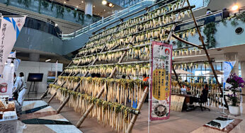 2024年も宮崎ブーゲンビリア空港に大根やぐらが建ったよ！