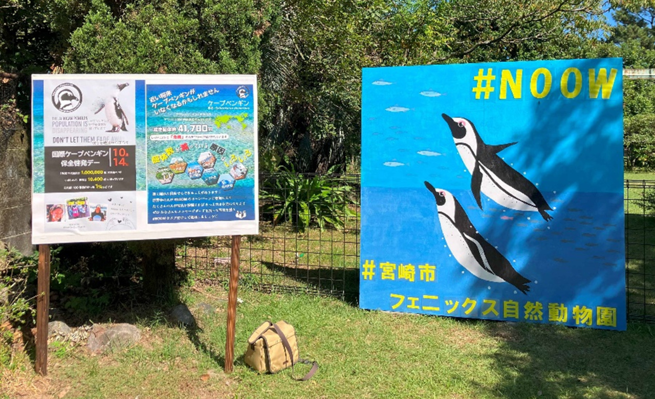 ケープペンギンの展示場横に立てられた、絶滅の危機を伝える看板