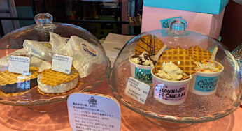【開店】ニシタチではシメアイスが新定番に！－クリスピーワッフルアイスクリーム / 宮崎市