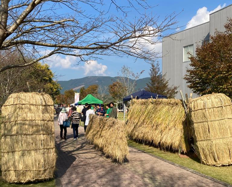 会場に展示された稲の掛け干し